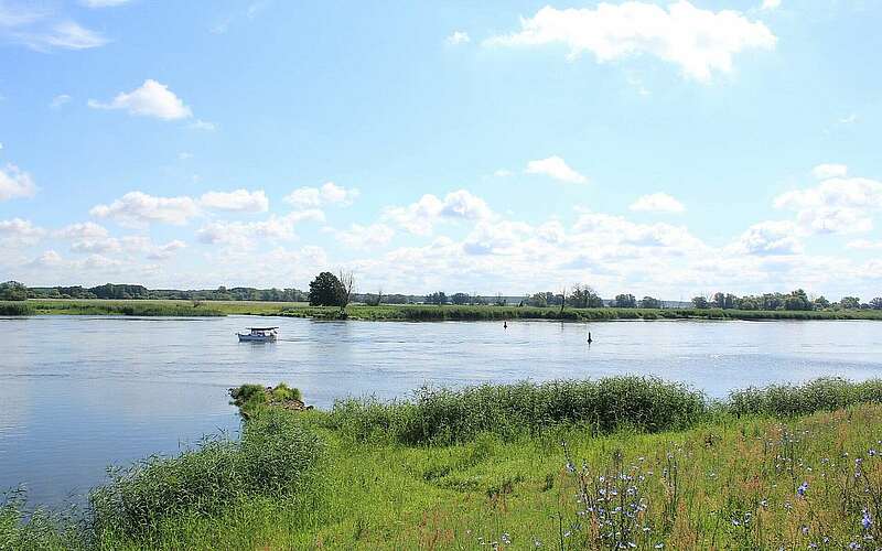 



    
        
                Oder bei Kienitz,
            
        
                Foto: TMB Tourismus-Marketing Brandenburg GmbH/Dirk Wetzel
            
    

