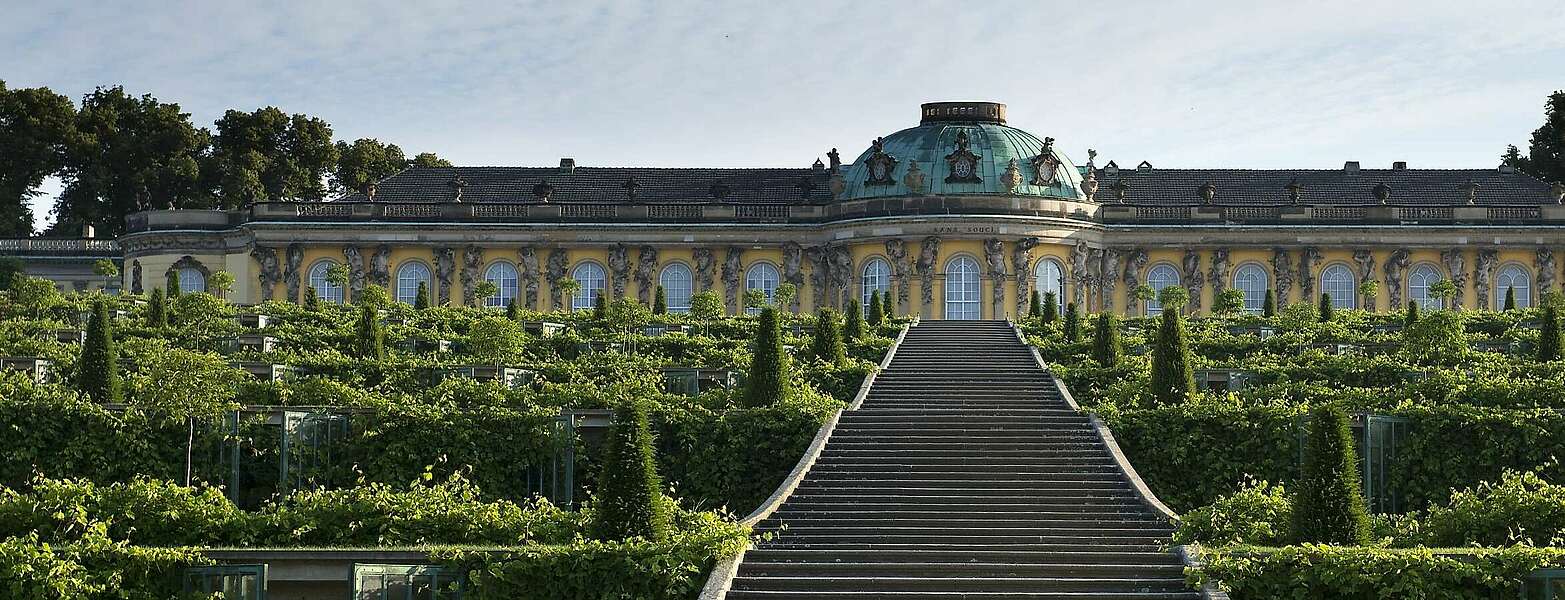 Schloss Sanssouci,
            
        
                Foto: TMB Tourismus-Marketing Brandenburg GmbH/Leo Seidel