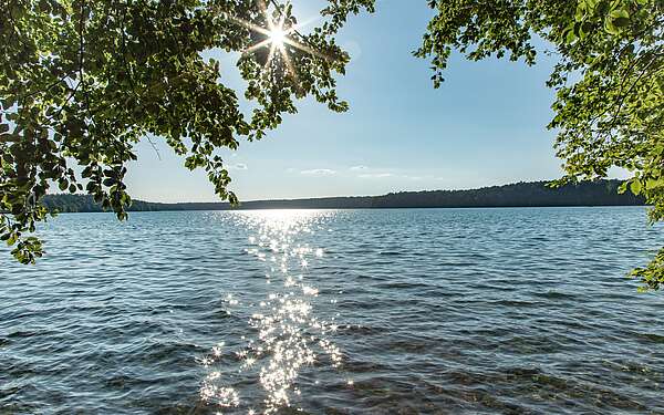 Am Stechlinsee