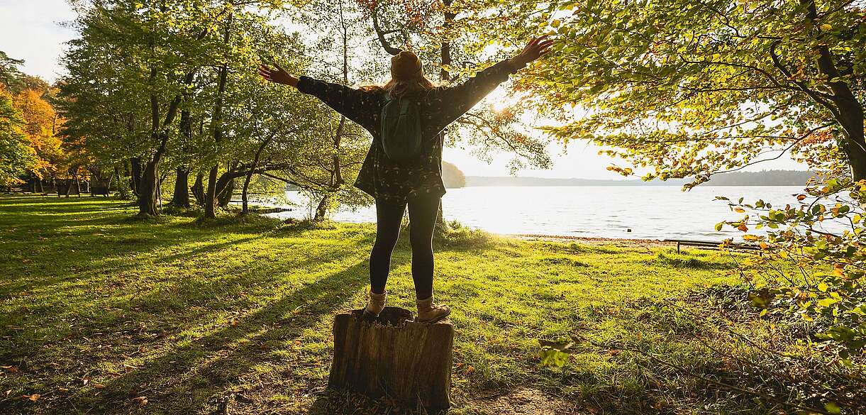 Am Stechlinsee im Herbst