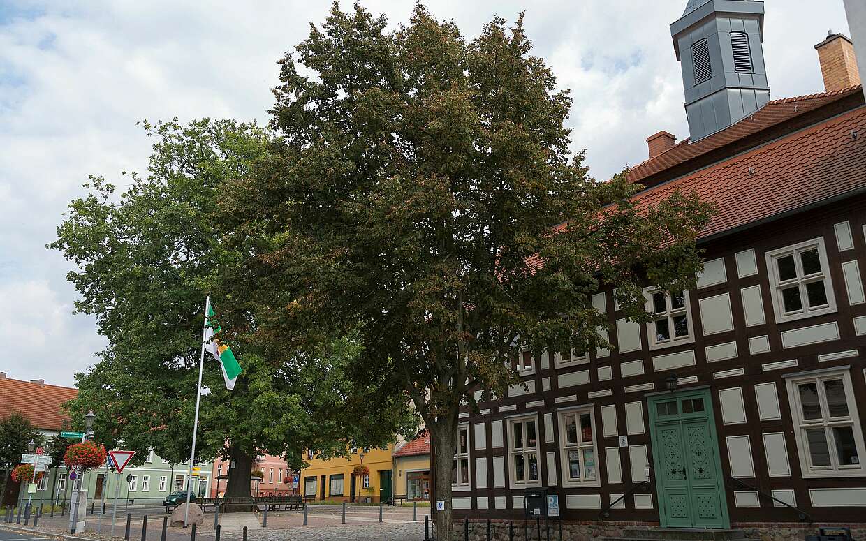 Marktplatz von Biesenthal