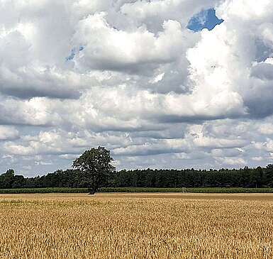 Wandern auf dem Annenpfad
