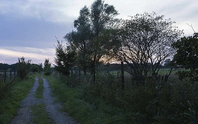Sonnenuntergang auf Gut Gollin