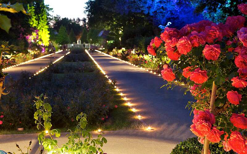 



    
        
                Ostdeutscher Rosengarten Forst,
            
        
                Foto: Stadt Forst (Lausitz)/Annette Schild
            
    
