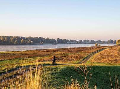 Radtour entlang der Elbe