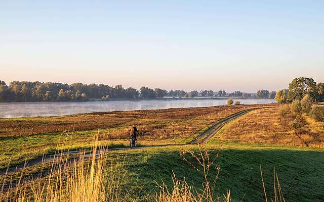 Radtour entlang der Elbe