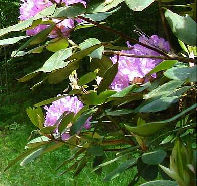 Farbenrausch im Schlosspark Wiesenburg