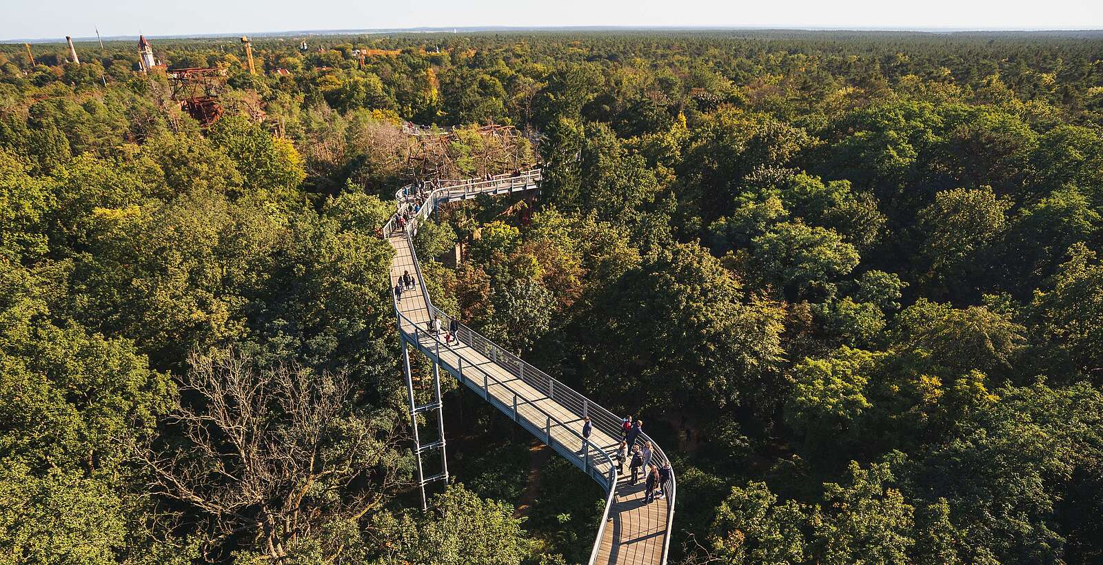 Baumkronenpfad "Baum & Zeit"