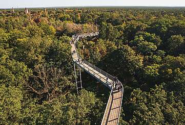 Baumkronenpfad "Baum & Zeit"