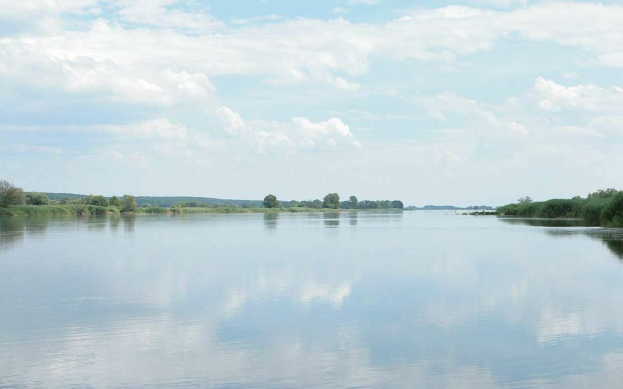 Blick über die Oder