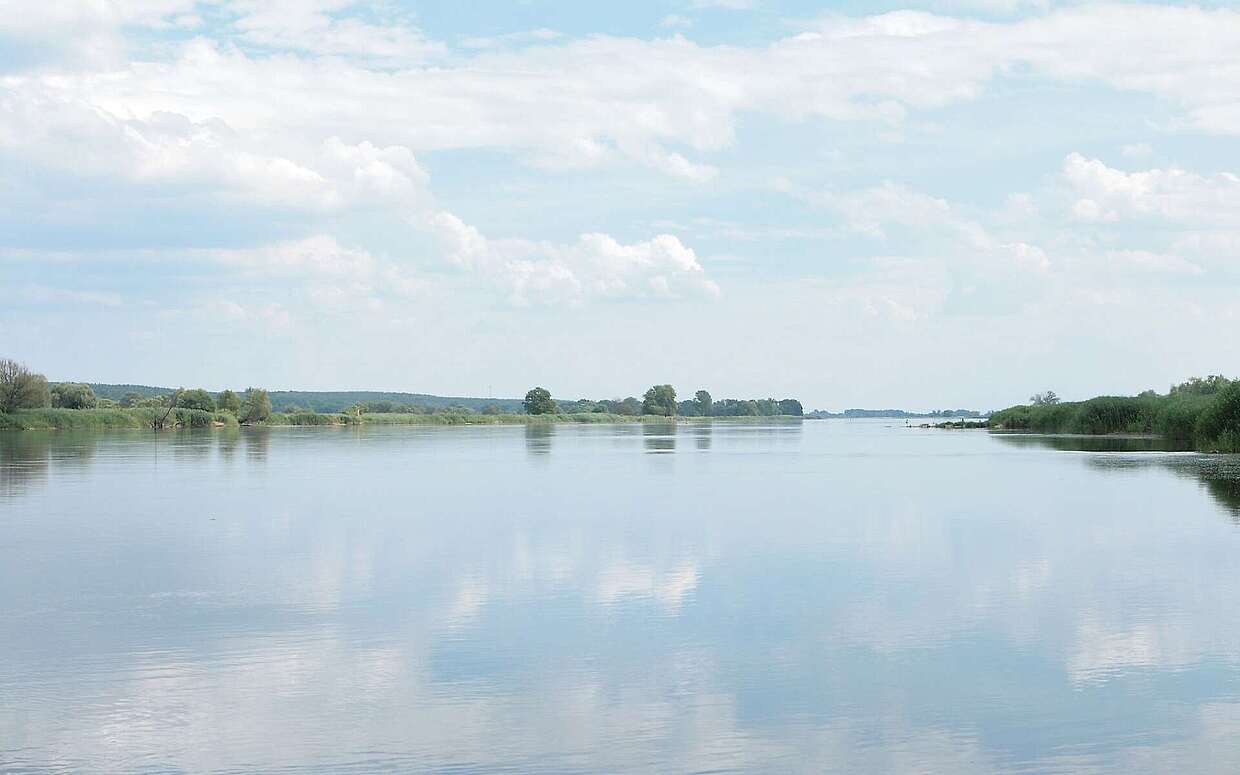 Blick über die Oder
