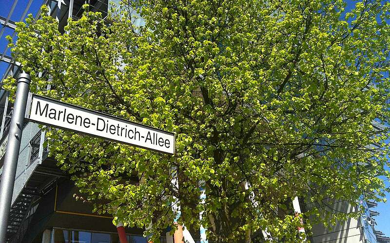 



    
        
                Filmuniversität Babelsberg KONRAD WOLF,
            
        
                Foto: Filmuniversität Babelsberg KONRAD WOLF/Kein Urheber bekannt
            
    
