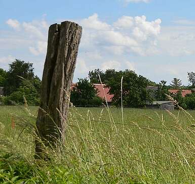 Ökodorf Brodowin setzt seit 25 Jahren auf Bio-Landwirtschaft