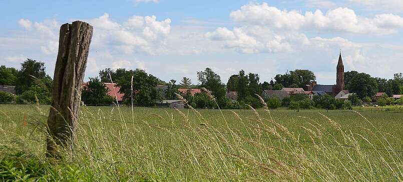 Ökodorf Brodowin setzt seit 25 Jahren auf Bio-Landwirtschaft