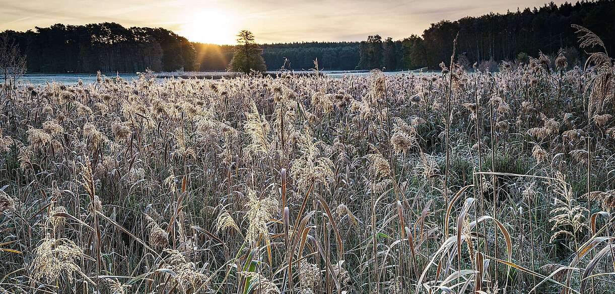 Herbst in der Schorfheide
