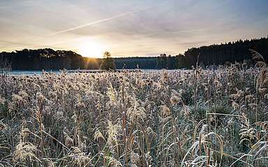 Herbst in der Schorfheide