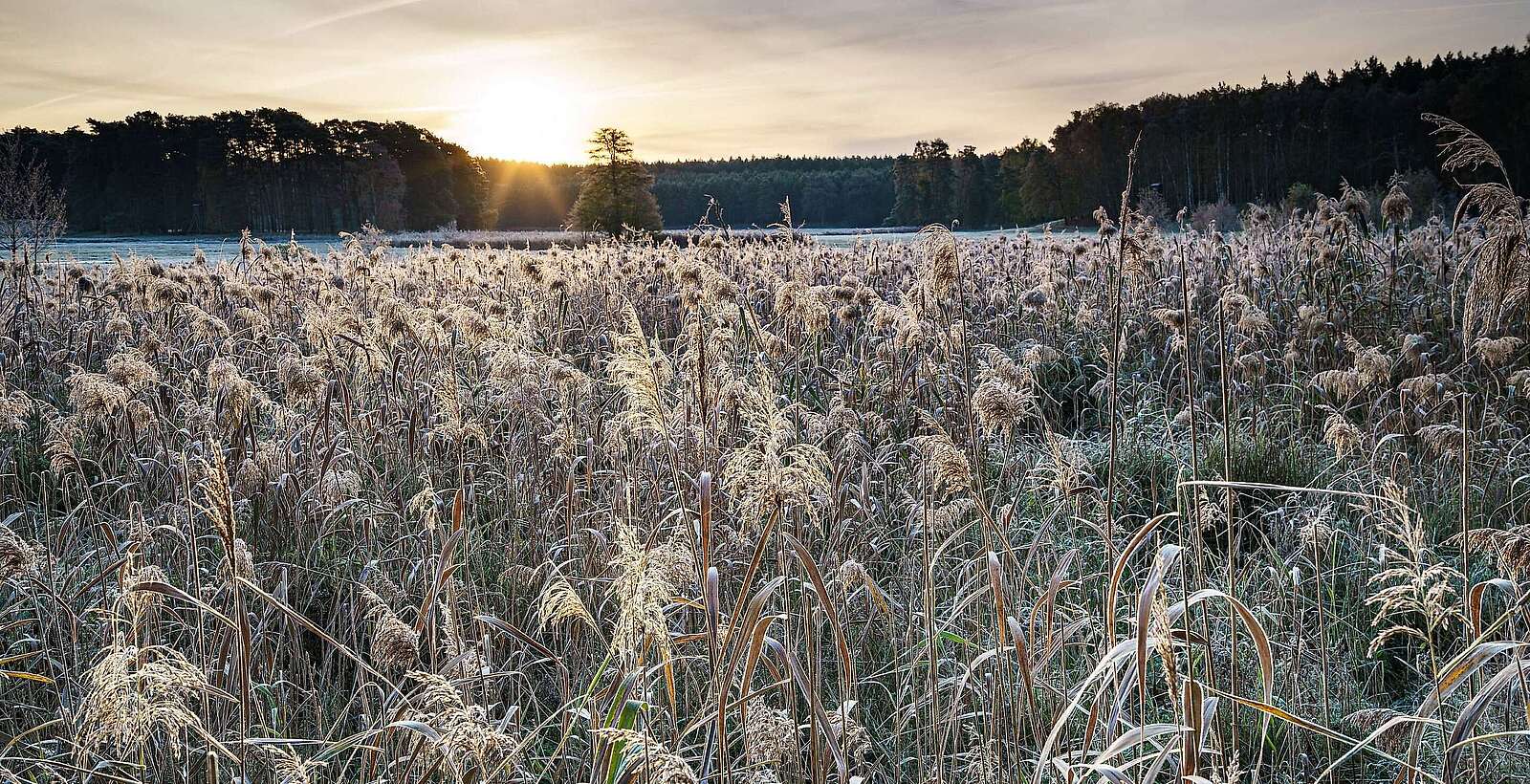 Herbst in der Schorfheide