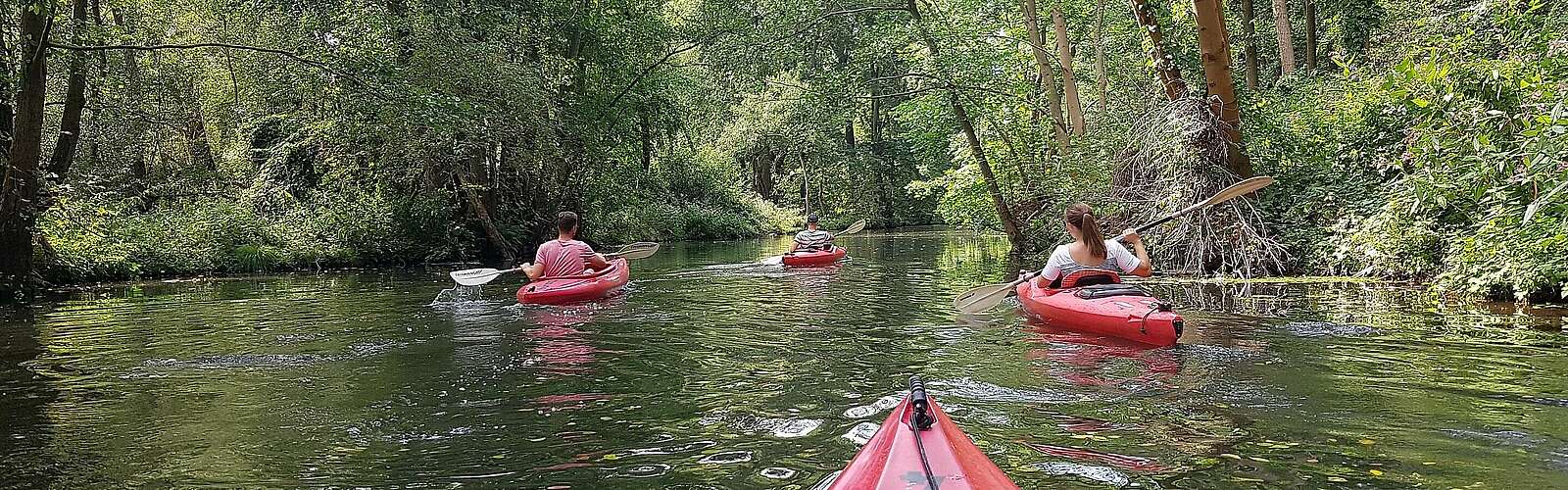 Mit dem Kajak unterwegs im Spreewald,
            
        
                Foto: TMB Tourismus-Marketing Brandenburg GmbH/Katrin Weber