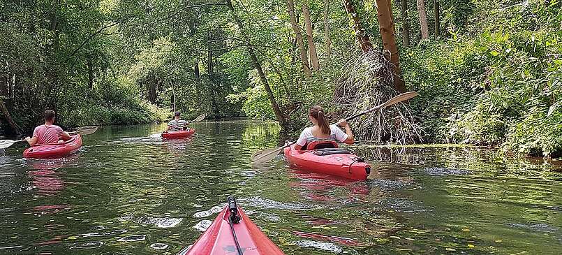 Mit dem Kajak unterwegs im Spreewald