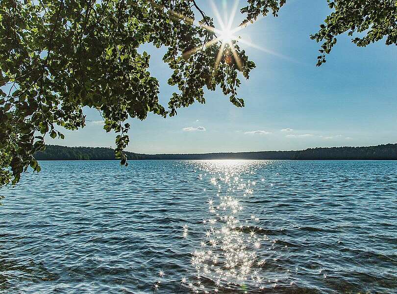 Stechlinsee
