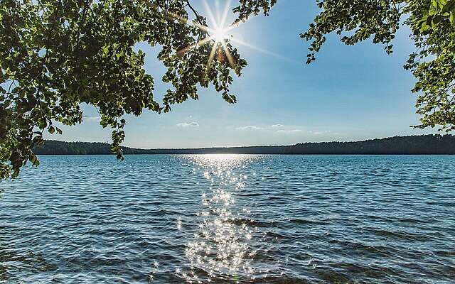 Stechlinsee
