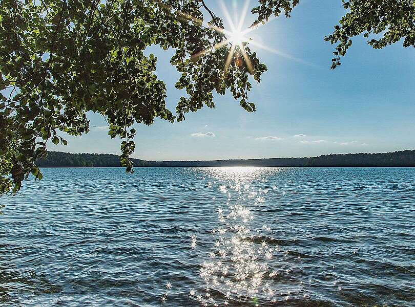 Stechlinsee