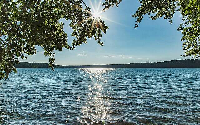 Stechlinsee