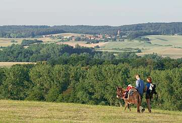 Wandern in tierischer Begleitung