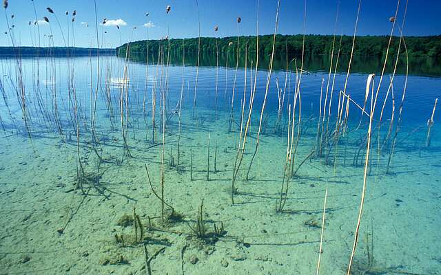 Großer Stechlinsee