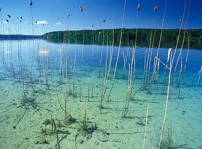 Großer Stechlinsee