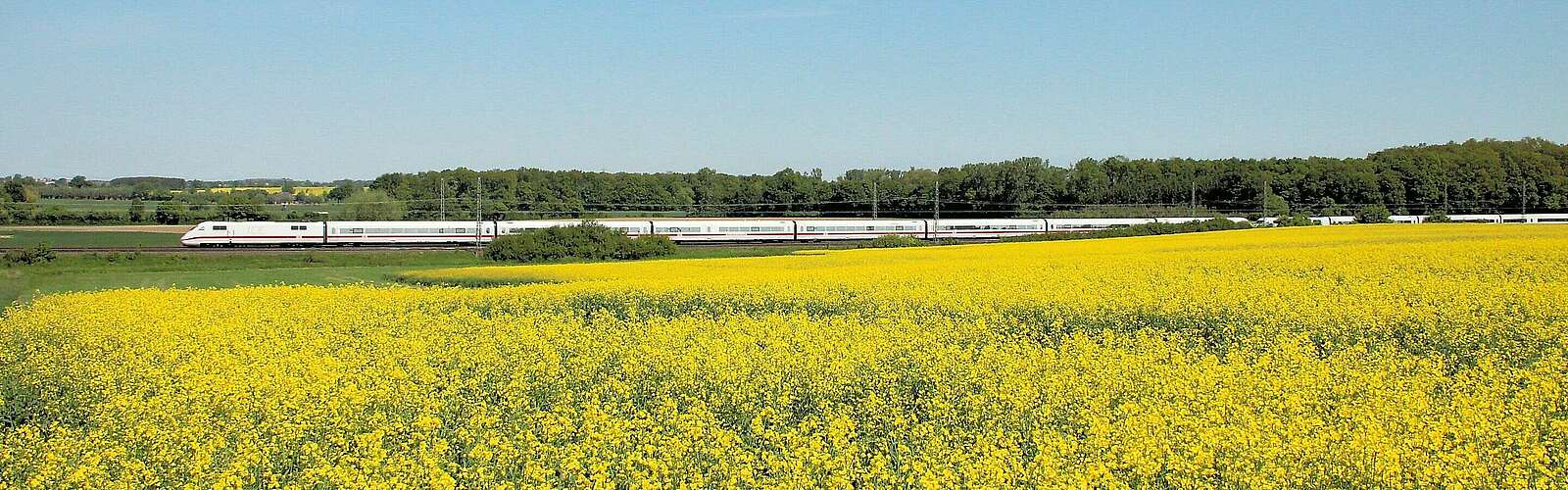 ICE 2 nach Berlin an einem Rapsfeld,
            
        
                Foto: Deutsche Bahn AG/Wolfgang Klee