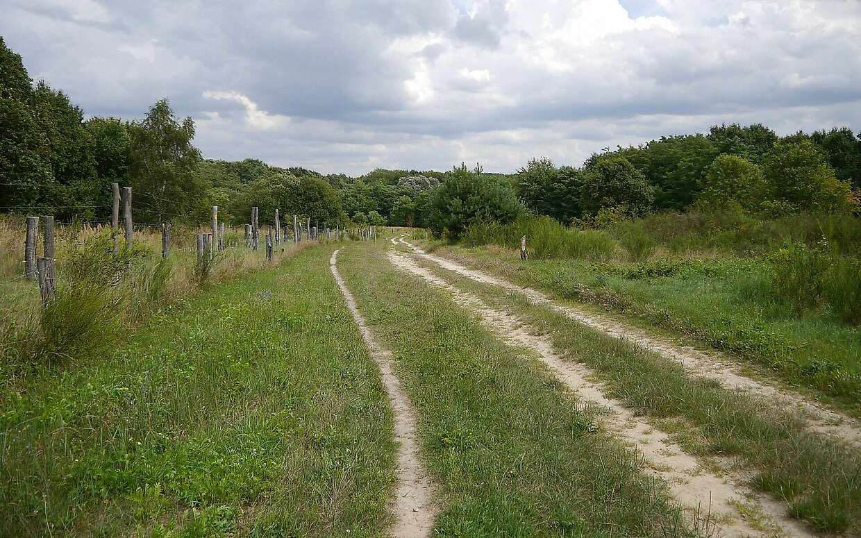 Döberitzer Heide
