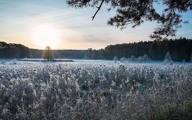 Herbst in der Schorfheide