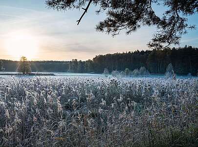 Herbst in der Schorfheide