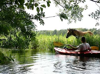 Kanuwanderer auf dem Rheinsberger Rhin