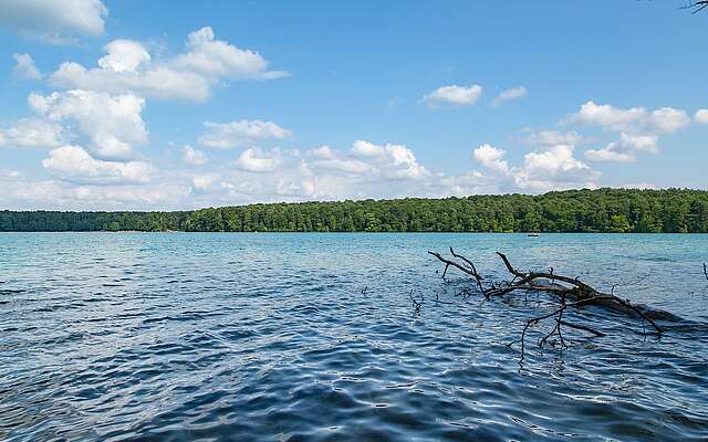 Blick auf den Stechlinsee