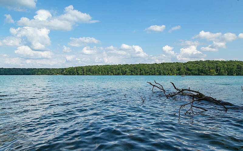 



    
        
                Blick auf den Stechlinsee,
            
        
                Foto: TMB Tourismus-Marketing Brandenburg GmbH/Steffen Lehmann
            
    
