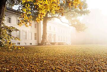 Schloss Neuhardenberg im Herbstnebel