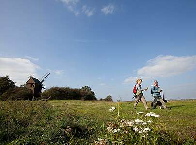 Wanderung bei Borne im Fläming