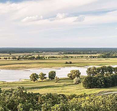 Elbtalaue bei Lenzen