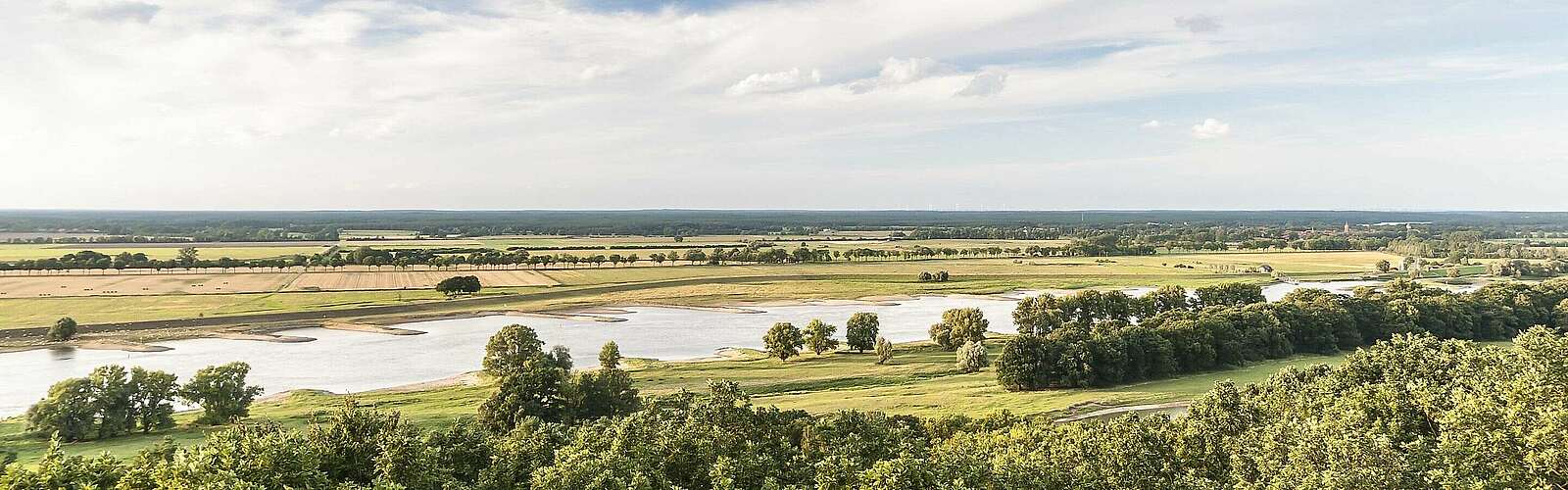 Elbtalaue bei Lenzen,
            
        
                Foto: TMB Tourismus-Marketing Brandenburg GmbH/Dieter Damschen
