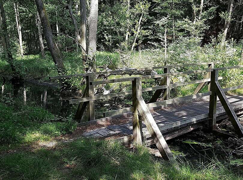 Pregnitzfließ im Naturpark Barnim