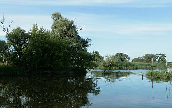Der Gülper See im Naturpark Westhavelland