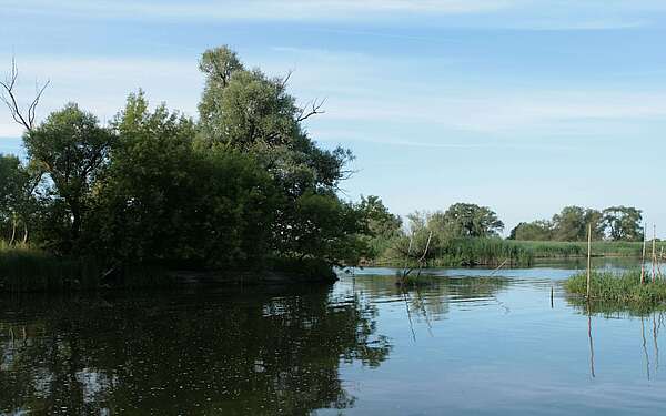 Der Gülper See im Naturpark Westhavelland
