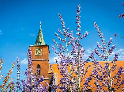 St. Marienkirche Bernau bei Berlin