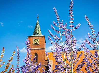 St. Marienkirche Bernau bei Berlin