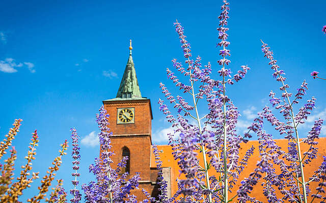 St. Marienkirche Bernau bei Berlin
