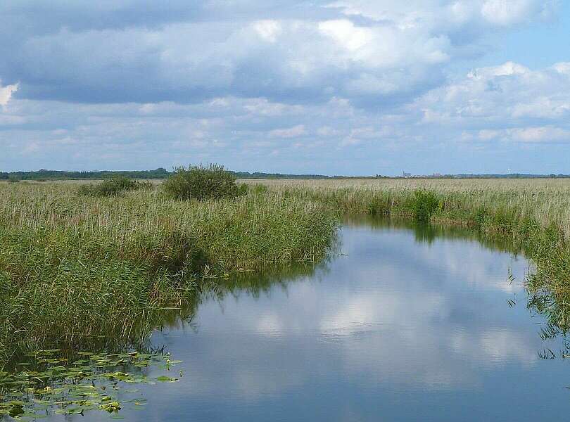 Blick auf den Uckerkanal
