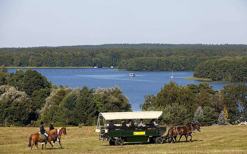 



    
        
                Kremserfahrt am Großen Lychensee,
            
        
                Foto: TMB Tourismus-Marketing Brandenburg GmbH/Paul Hahn
            
    
