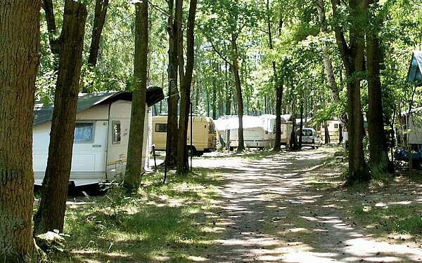 Wohnmobile im Wald